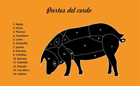 Esquema sobre las partes del cerdo de donde se extrae la grasa, diferenciando la manteca visceral y la subcutánea.