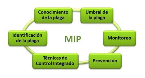 Diagrama de flujo del manejo integrado de plagas para la mosca blanca.