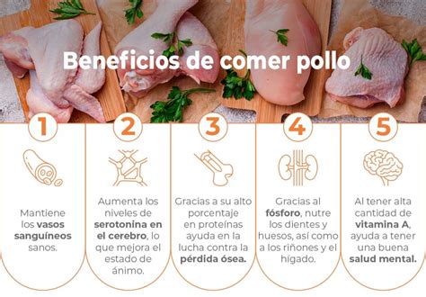 infografía sobre los beneficios nutricionales del pollo