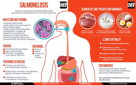 Infografía sobre las vías de transmisión de la salmonelosis en animales.