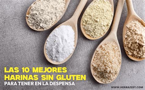 ilustración de diferentes tipos de harinas sin gluten
