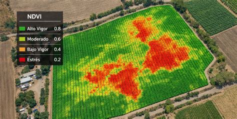 Visualización de datos del índice NDMI para evaluar el estrés hídrico en un cultivo de trigo.