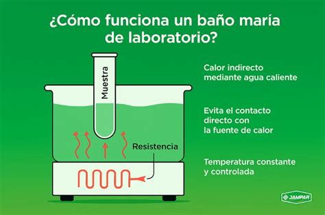 Esquema de un baño maría para pasteurizar leche en tarro de cristal: termómetro, agua y recipiente.