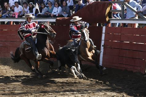 Ilustración o fotografía histórica de un rodeo tradicional chileno donde se originó la disputa.
