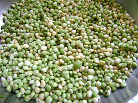 Guandules frescos en su vaina y guandules desgranados