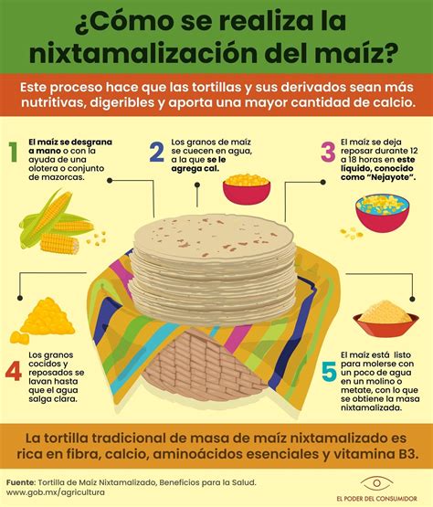 Infografía paso a paso para preparar tortillas de maíz caseras utilizando granos naturales y almidón de maíz.
