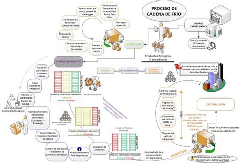 Esquema logístico de la cadena de frío desde la cosecha hasta el mercado de destino