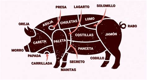 Esquema de las partes del cerdo mostrando el corte 