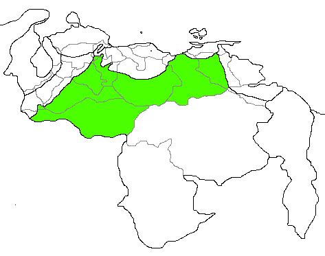Ilustración de llaneros venezolanos o un mapa de los Llanos