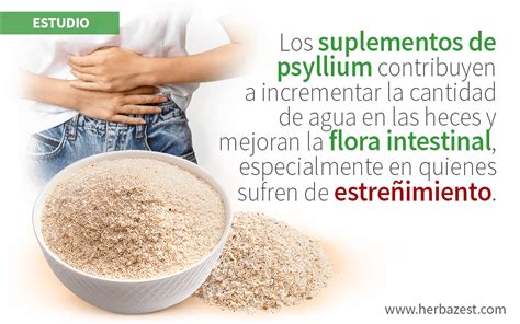 Infografía: Principales beneficios del psyllium para la salud
