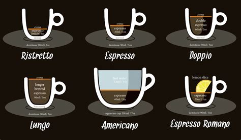 Diagrama de las proporciones: un tercio de espresso y dos tercios de espuma