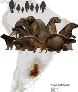 Esquema comparativo de tamaños corporales entre diversos grupos de megafauna terrestre y acuática