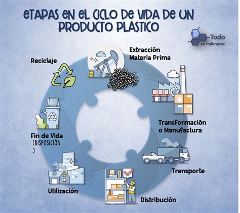 Infografía sobre el ciclo de vida y degradación de la bifenthrina en el medio ambiente