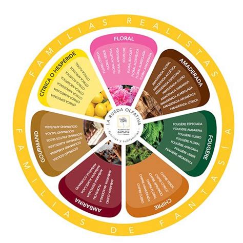 Gráfico circular o rueda de familias olfativas mostrando la interconexión.