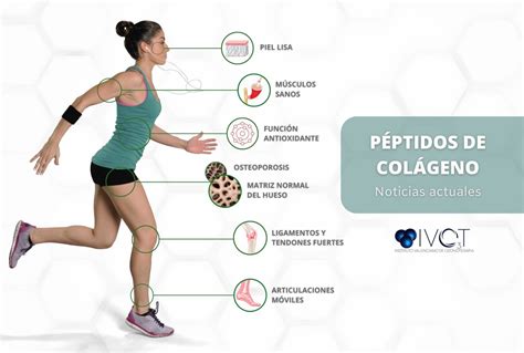 Esquema o infografía sobre la producción de colágeno vegano con ARN mensajero