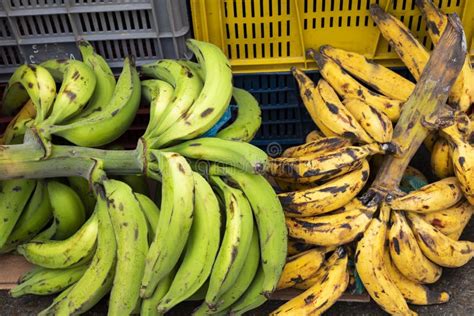 Plátanos verdes y maduros en un mercado ecuatoriano