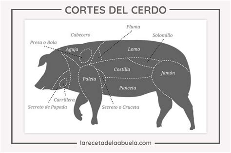 Ilustración de un corte transversal de cerdo mostrando la ubicación del espinazo.