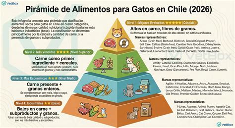 Infografía comparando diferentes fórmulas de alimentos para gatos