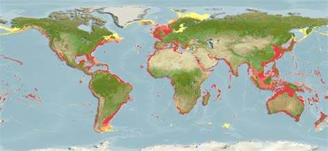 Mapa global de distribución de jaibas en costas tropicales y templadas