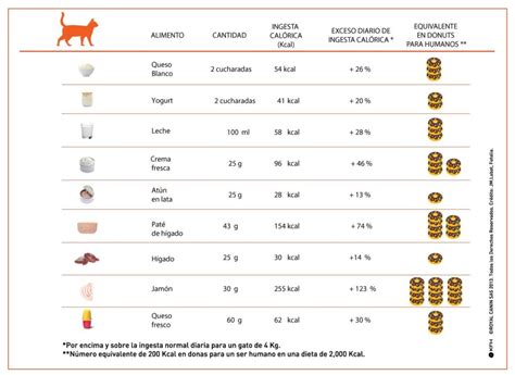Tabla nutricional detallada de alimento para gatos