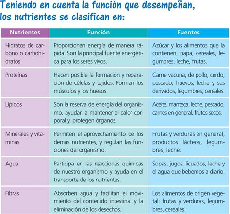 Tabla comparativa: beneficios de los nutrientes principales del poroto negro