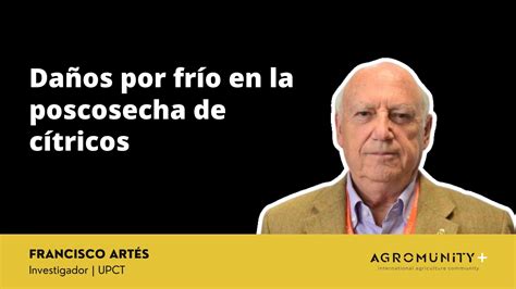 Infografía sobre tecnologías para minimizar daños por frío en cítricos
