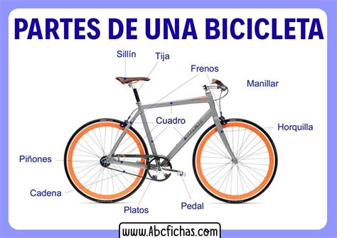 Esquema de una bicicleta con parrilla extendida y silla infantil