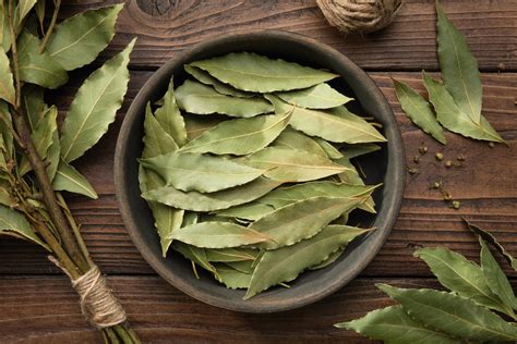 Hojas de laurel frescas y secas en primer plano