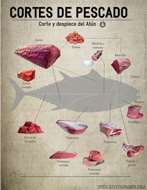 Infografía comparativa de diferentes cortes de pescado, destacando su forma y uso culinario.