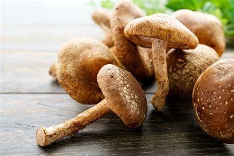 Foto de hongos shiitake deshidratados en un tazón