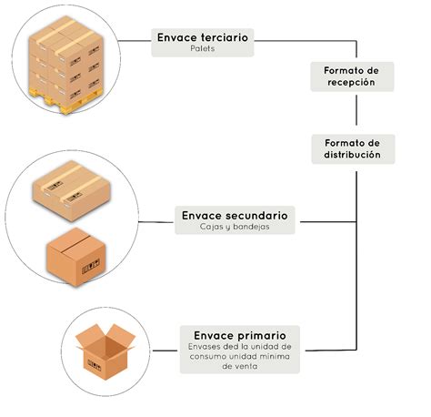 Esquema de embalaje protector: muestra de la caja reforzada con geles refrigerantes para asegurar la cadena de frío