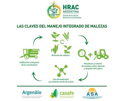 Esquema de las diferentes fases del manejo integrado de malezas en un cultivo.