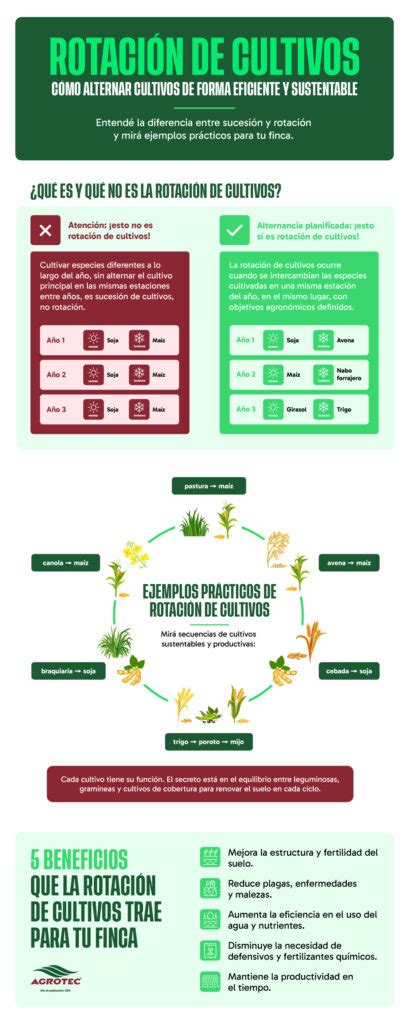 Gráfico comparativo sobre la reducción de malezas mediante la rotación de cultivos y herbicidas