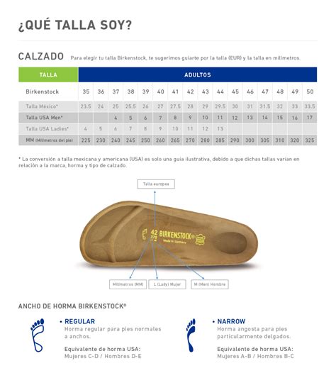Esquema detallado de la plantilla anatómica de Birkenstock mostrando las capas de corcho, látex y forro