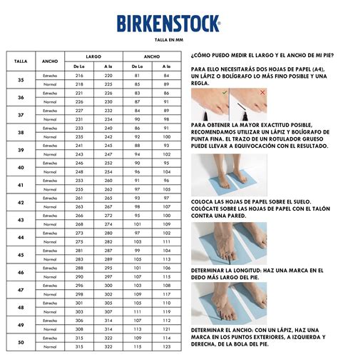 Ilustración que muestra las diferentes inscripciones de la plantilla Birkenstock (azul, negro, verde) y su significado