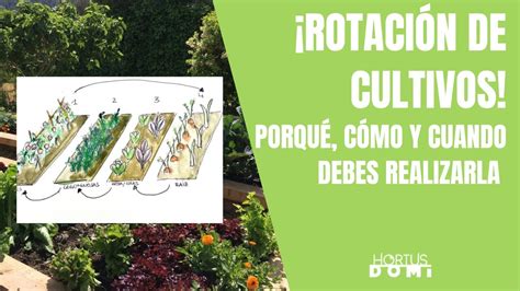 Sistema de rotación para la adquisición de imágenes de tomates