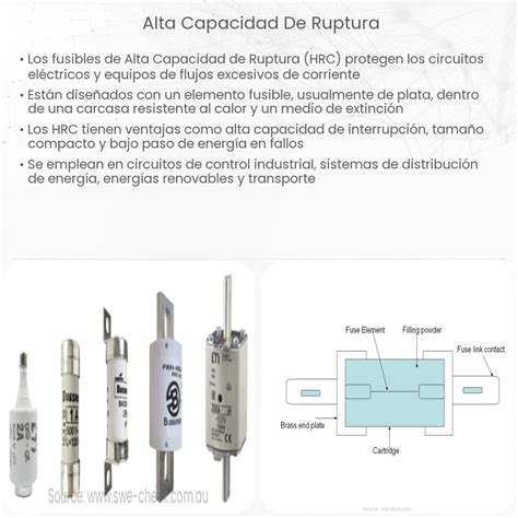 Detalle del diseño de alta capacidad de la Bandeja Pan Alto G2