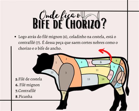 Esquema anatómico del corte de bife de chorizo en la res