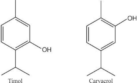 Diagrama de la estructura molecular del carvacrol y el timol, destacando sus grupos funcionales.