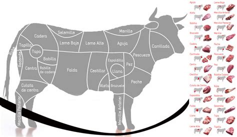 Esquema de los diferentes cortes de carne de vacuno