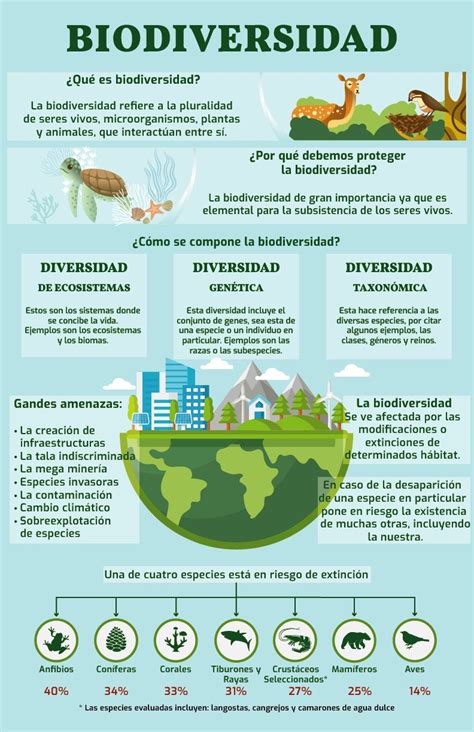 Infografía general de la biodiversidad marina y los diferentes hábitats del fondo marino.