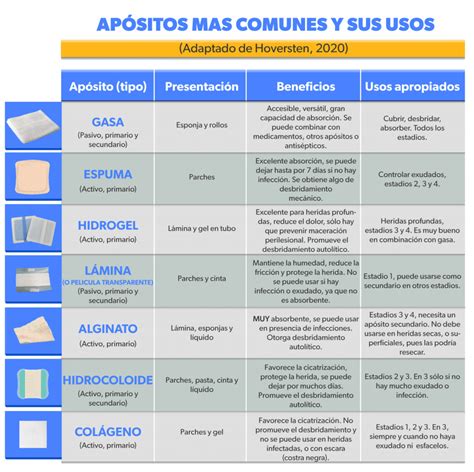 Infografía comparativa de LPP y UPP, destacando la evolución terminológica y definición.