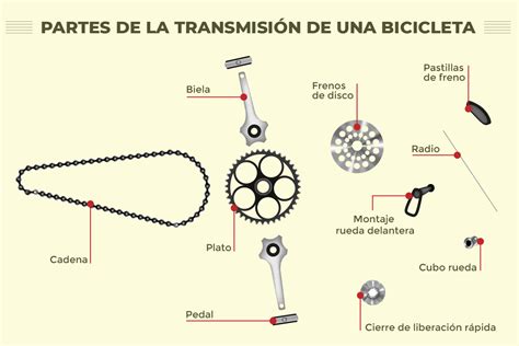 Diagrama explicatorio del mecanismo de funcionamiento de una cortadora de volante manual.