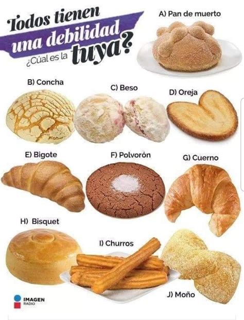 Infografía que muestra los diferentes nombres del pan de molde según la región y una ilustración del molde rectangular clásico
