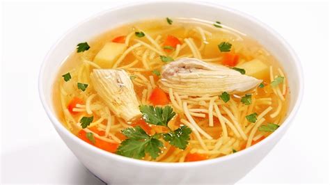 Plato de sopa de pollo con fideos y verduras frescas