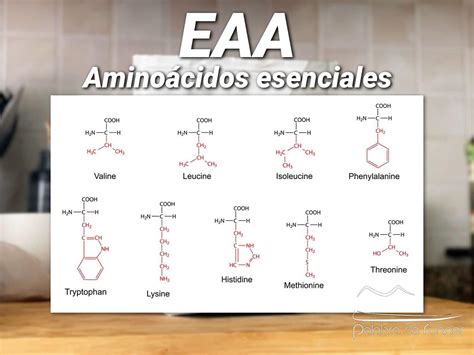 Gráfico comparativo de la composición de aminoácidos esenciales en maíces convencionales y MPC.