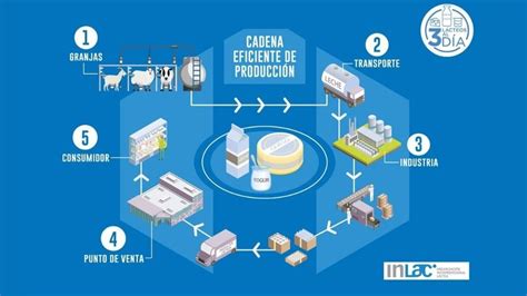 Esquema de la cadena de suministro de productos lácteos, desde la granja hasta el consumidor
