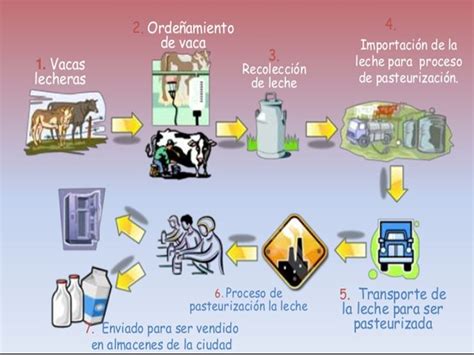 Esquema que muestra el proceso de transformación de la leche en mantequilla: separación de la nata, batido y eliminación del suero.