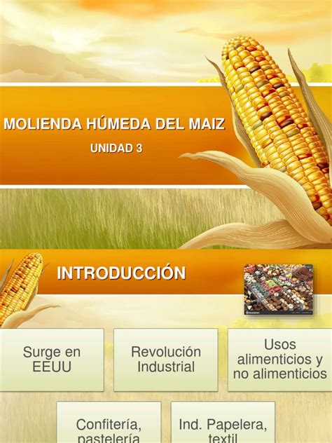 Esquema del proceso de molienda húmeda del maíz y sus subproductos