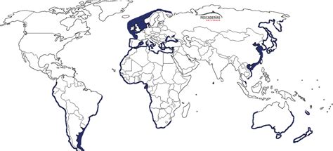Mapa de distribución mundial del jurel, destacando el